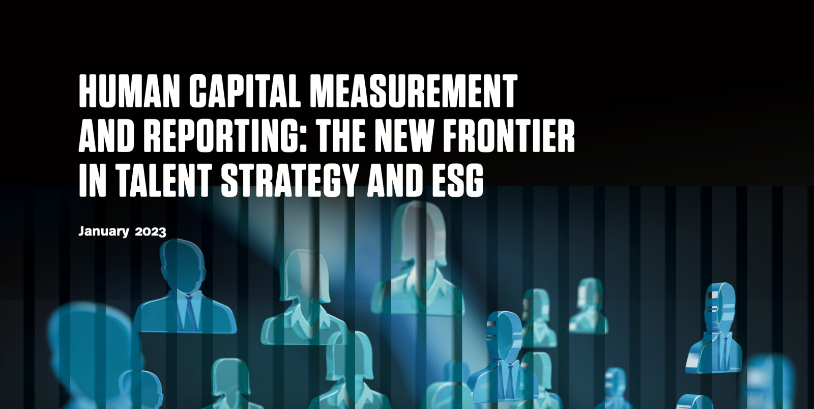 Human Capital Measurement and Reporting